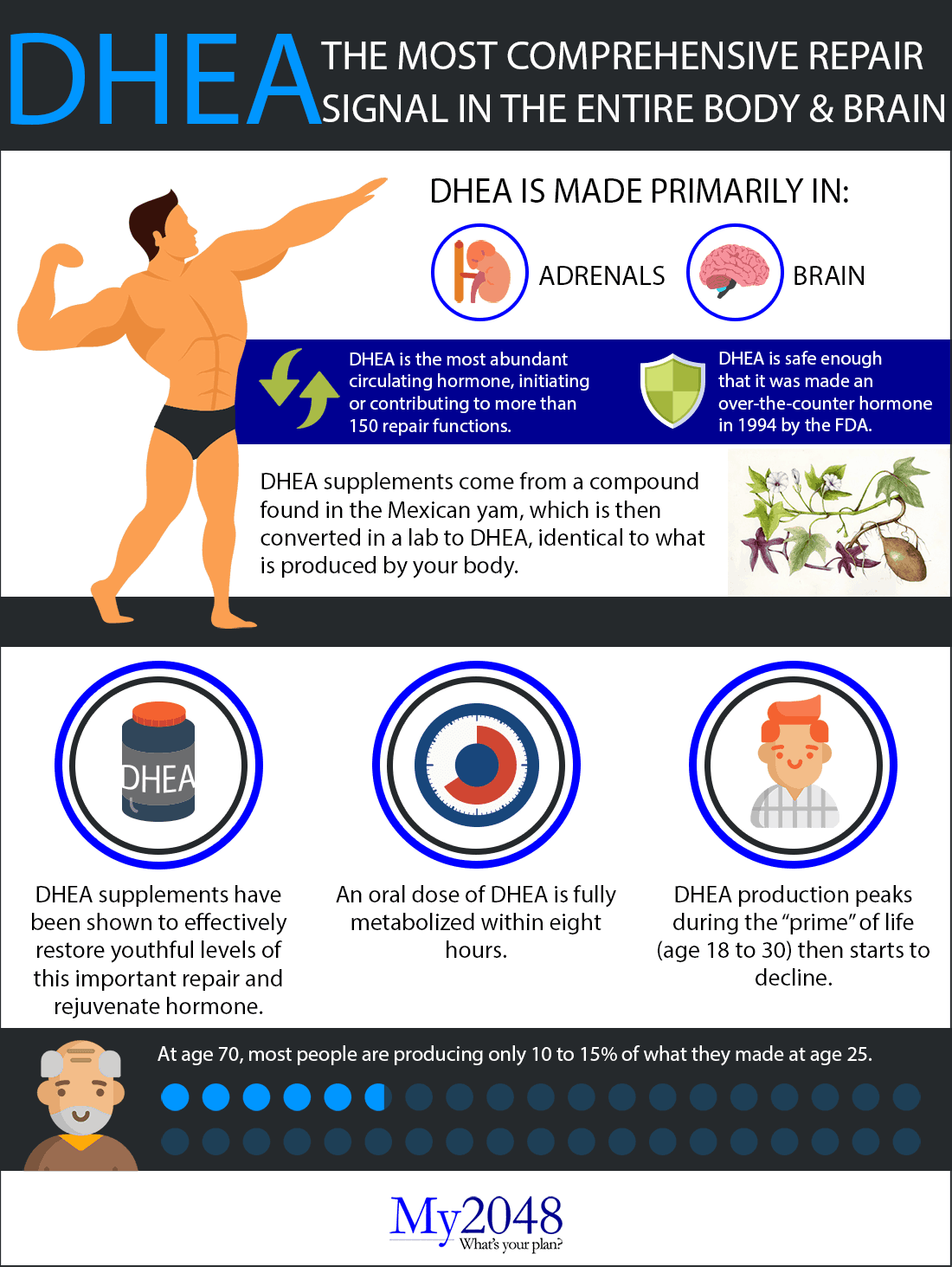 DHEA for men / DHEA for women infographic